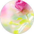 nurhairunisa mohamad nurhairunisa mohamad