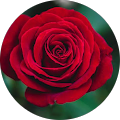suraini mzms