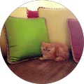budak besar budak besar