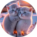 NOOR DIANA NOOR DIANA