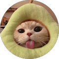 fatin amira