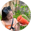 Suet Li Suet Li