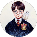 Harry Potter Harry Potter